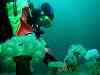 Dawn completes her plumose anemone survey