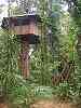 Our tree house in the Khao Sok National Park