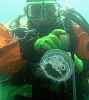 Moon jelly on our ascent