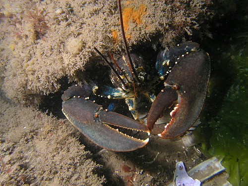 P7080156.JPG