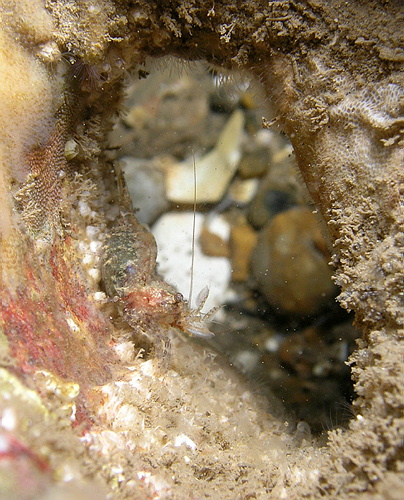 P7080076.JPG