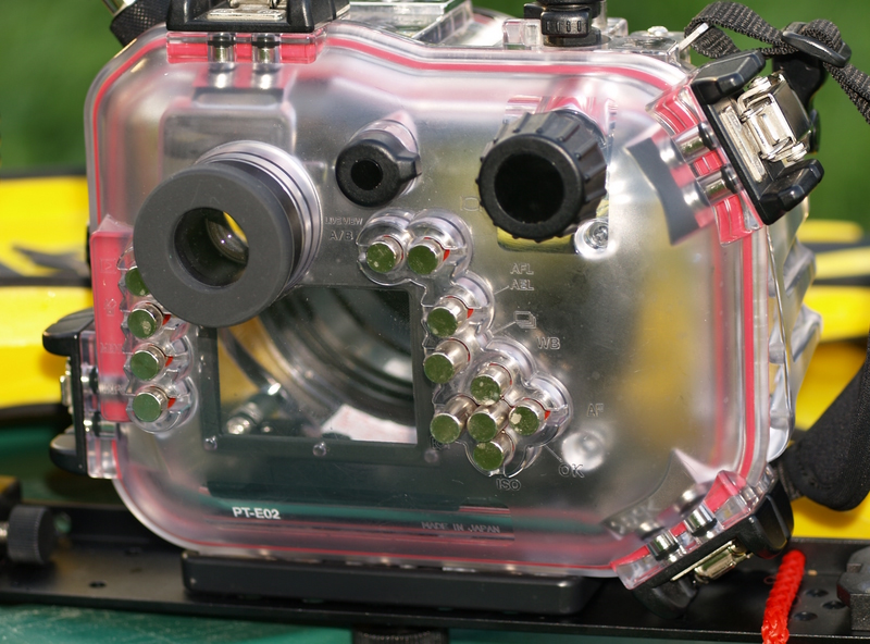 RS231273.JPG