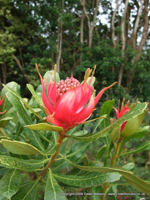 DSCF0139.JPG